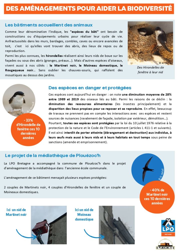 sensi habitants faune du bati plouezoch page 0001