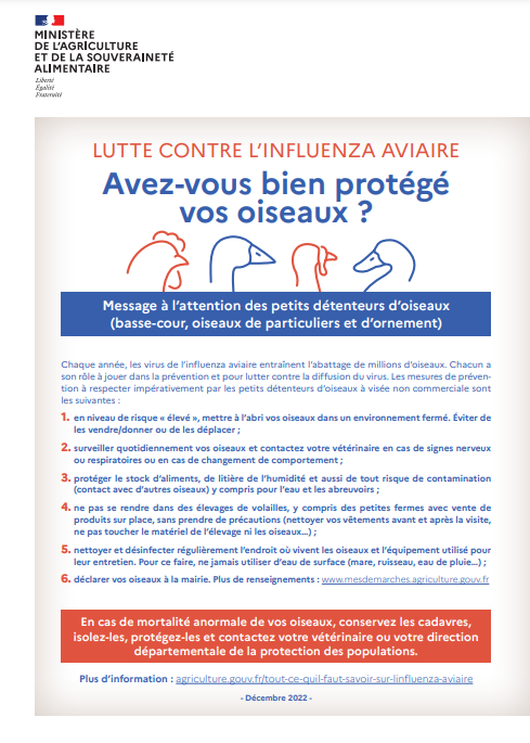 Capture décran 2024 10 07 111139